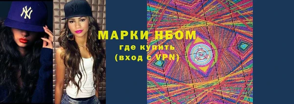 молекула духа Богданович